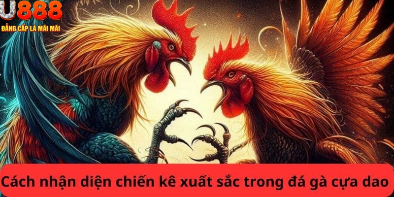 Mẹo cá cược đá gà hiệu của được chia sẻ từ chuyên gia