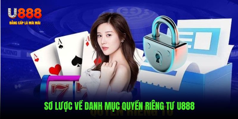 Những chiến lược về danh mục quyền riêng tư U888